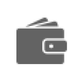 Handbags (6)